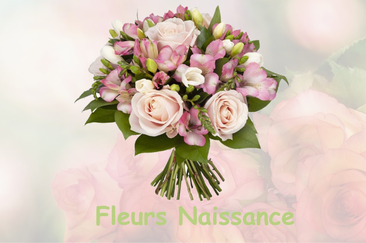 fleurs naissance SAINT-JACQUES-DE-NEHOU
