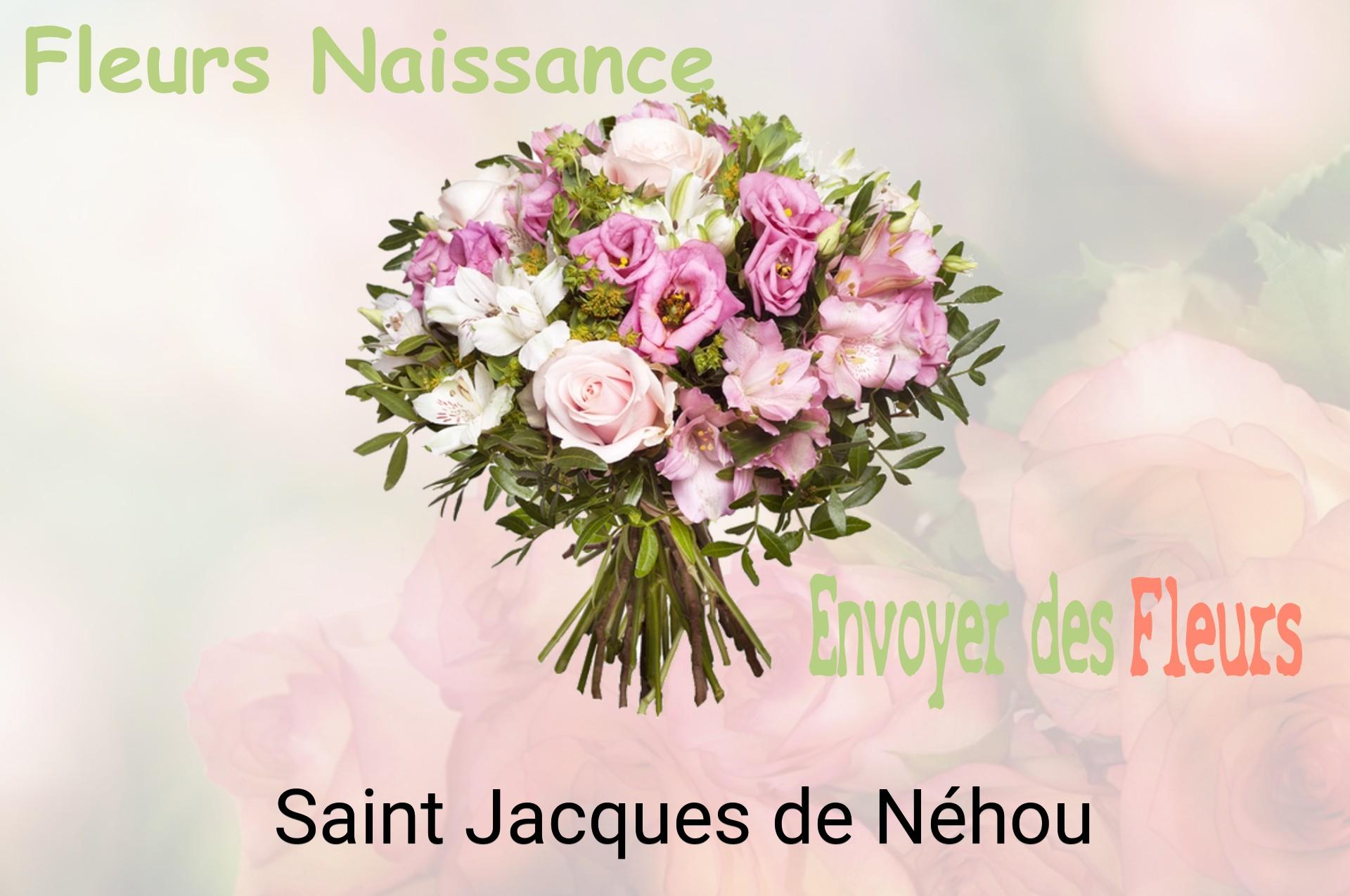 Bouquet de fleurs de naissance livré à Saint-Jacques-de-Néhou