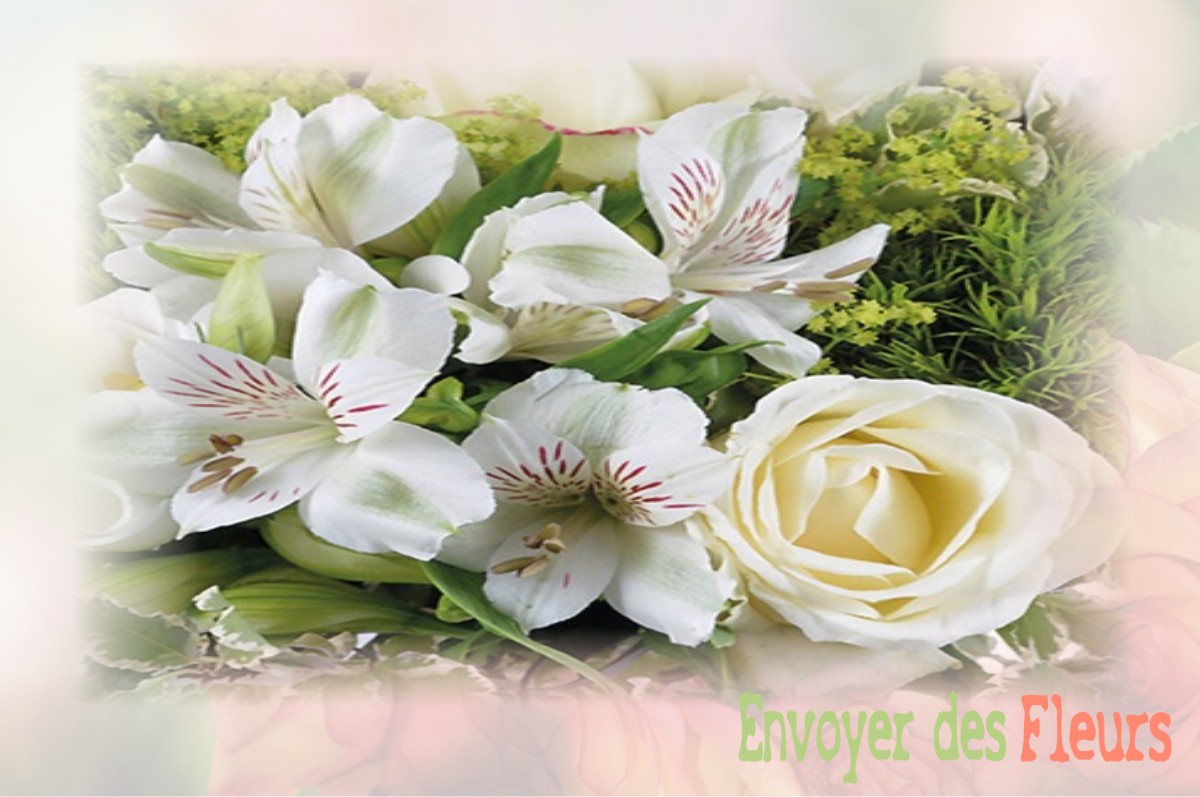 envoyer des fleurs à à SAINT-JACQUES-DE-NEHOU